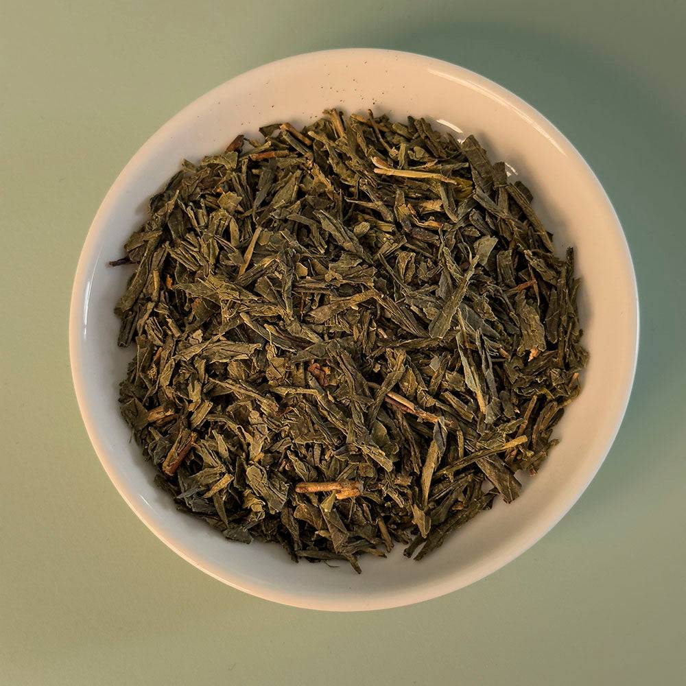grüner tee sencha lose für gastro und hotel