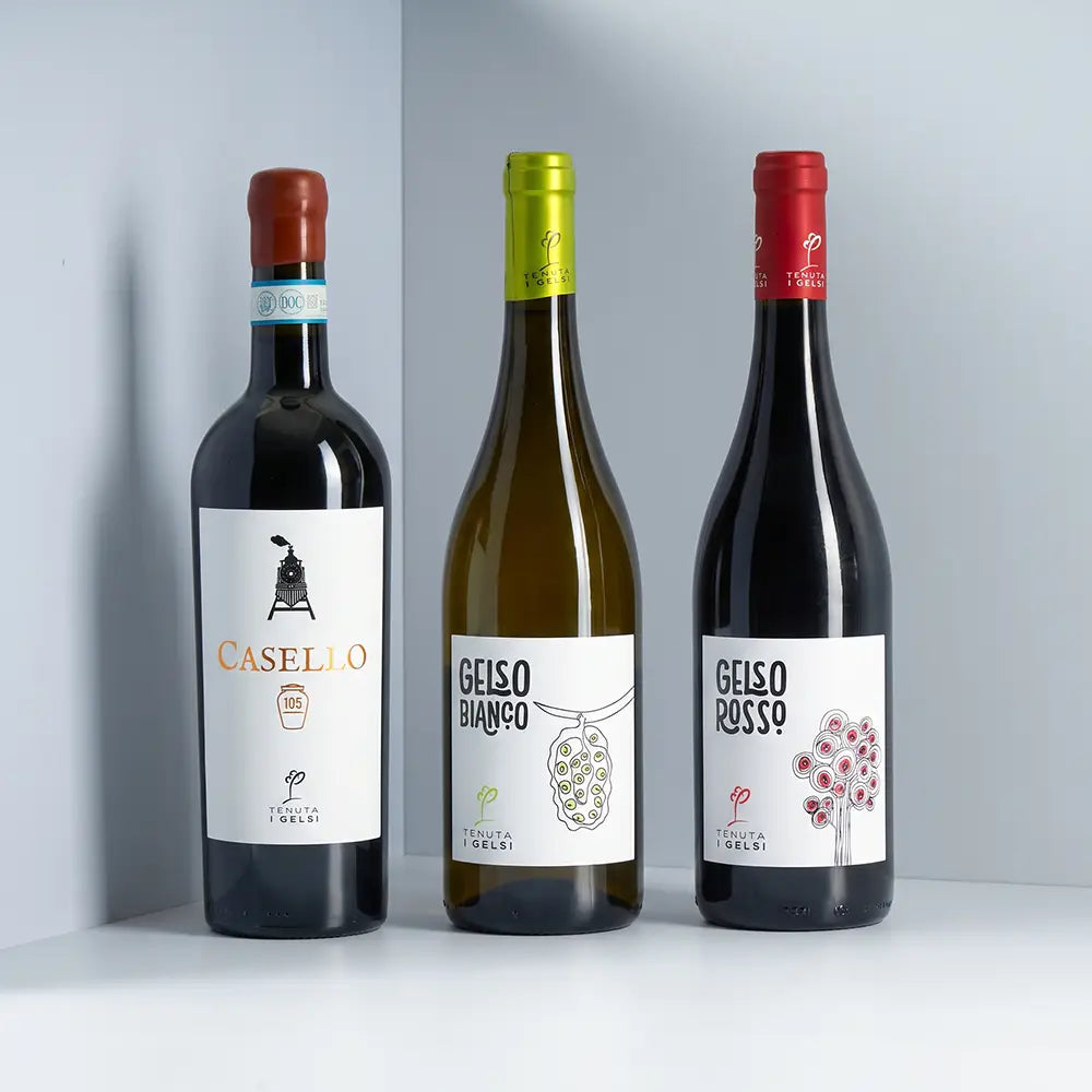 gelsi basilikata wein probierpaket