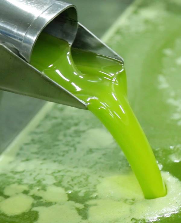 olivenöl frisch gepresst von pregio italien