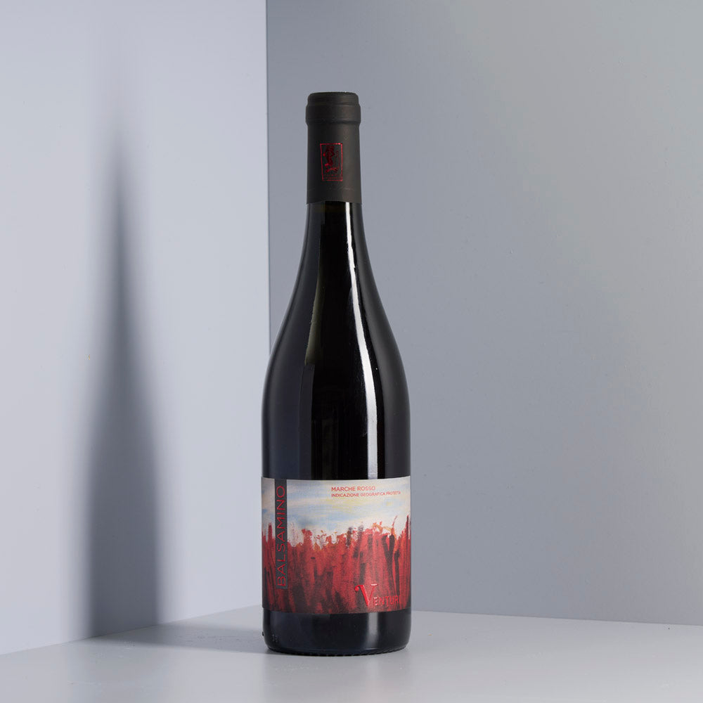 roberto venturi rotwein balsamino agliatico traube für Händler und Gastronomie zu Großhandels Konditionen