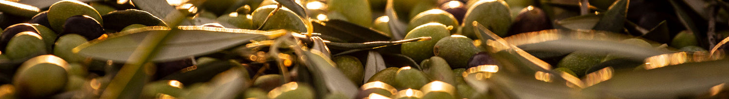 oliven mit blättern