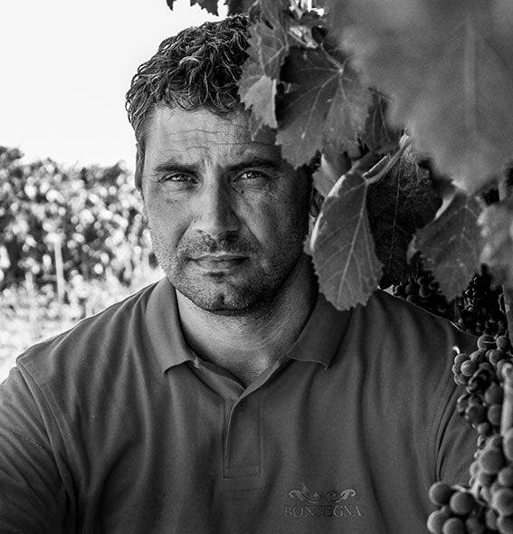 alessandro bonsegna winzer aus apulien 