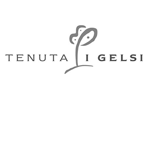 logo gelsi 