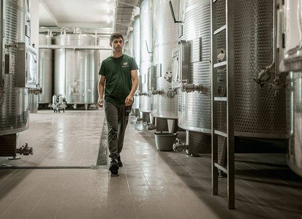 rebuli prosecco kantine einblick