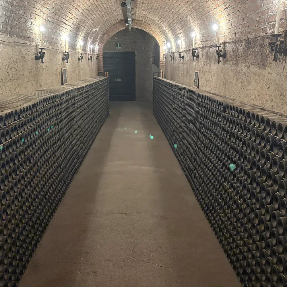 keller mit vielen franciacortaflaschen von conti ducco